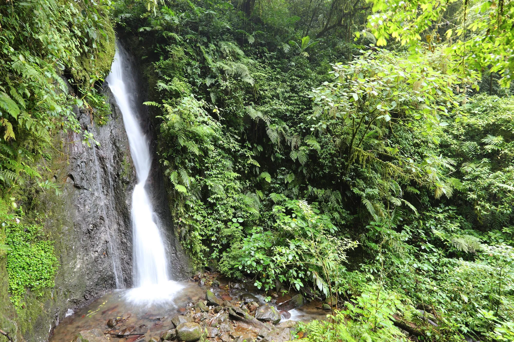 Costa Rica