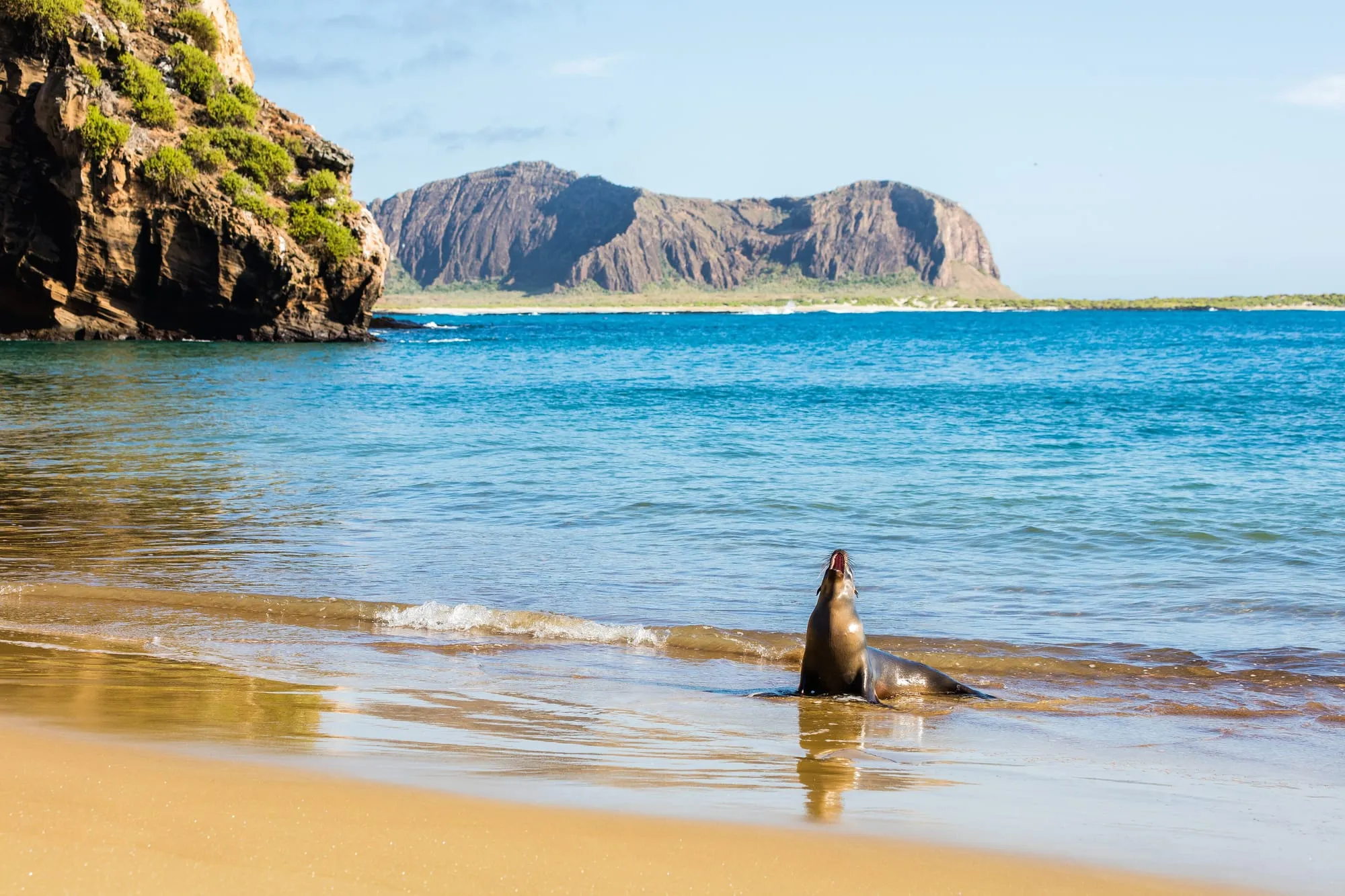 Galápagos