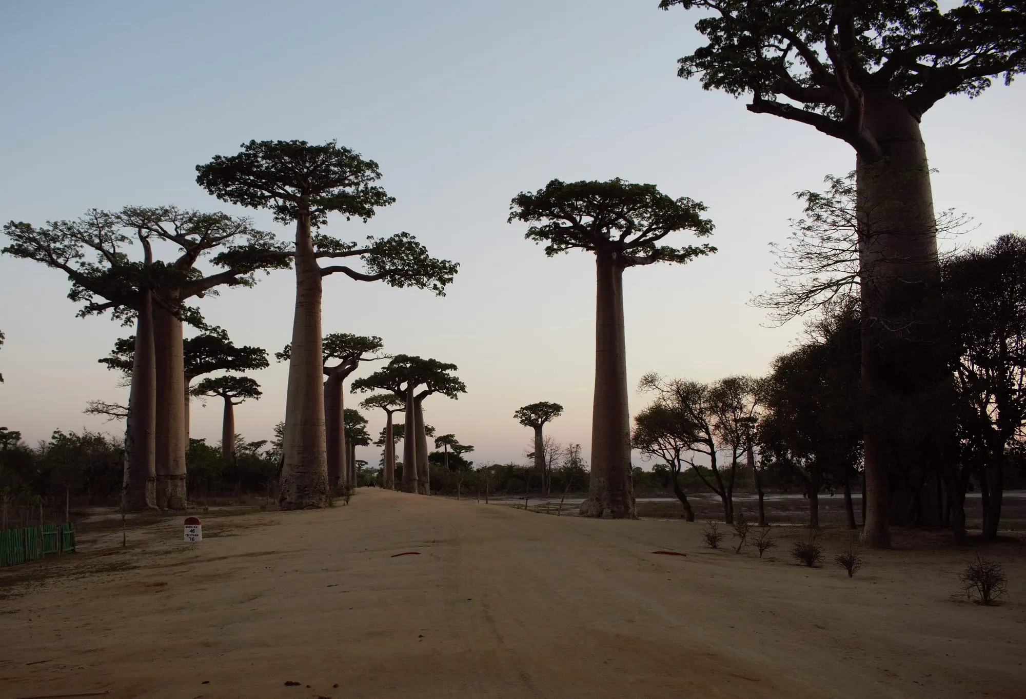 Madagascar