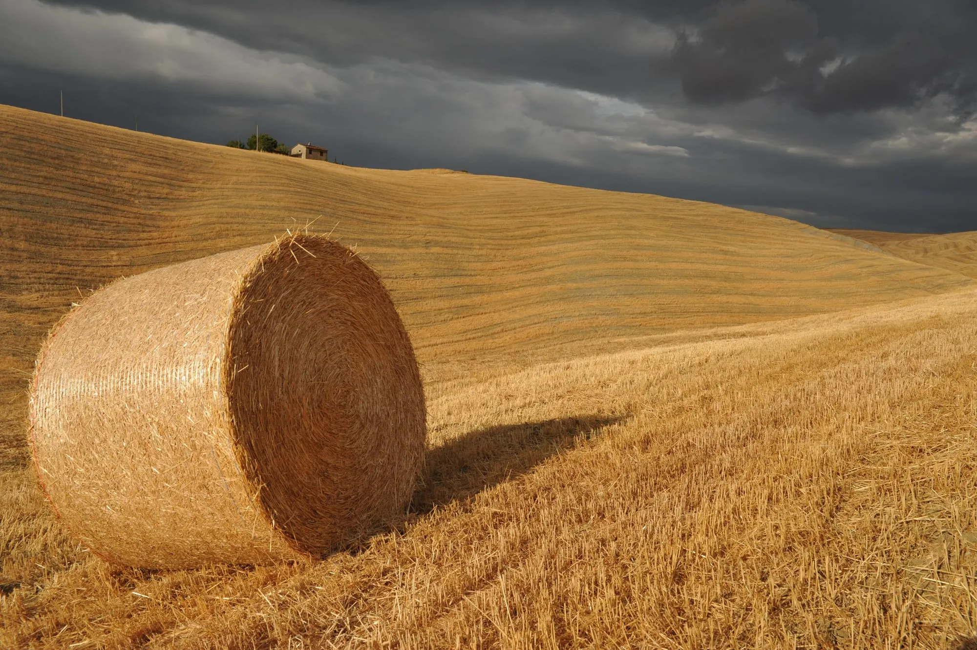 Toscana