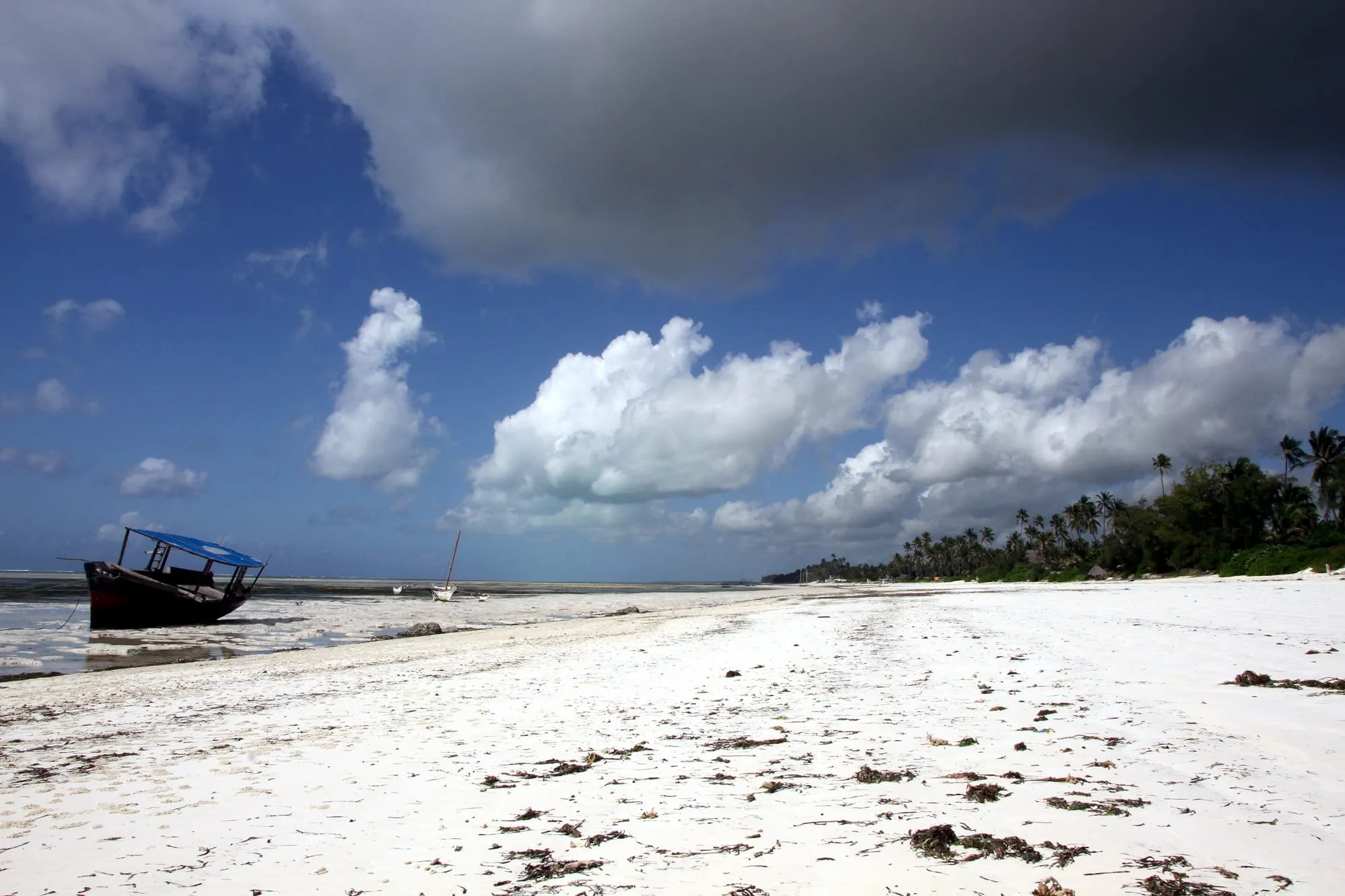 Zanzibar